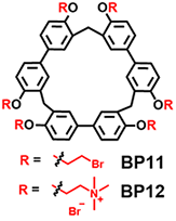 BP11-12